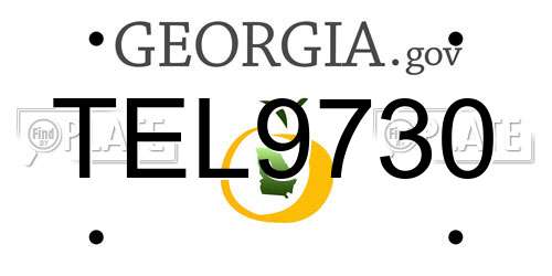 TEL9730 Georgia License Plate