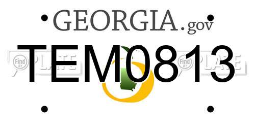 TEM0813 Georgia License Plate