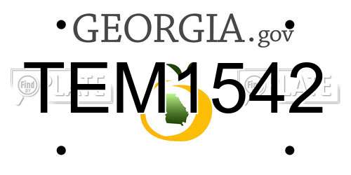 TEM1542 Georgia License Plate