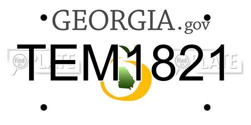TEM1821 Georgia License Plate