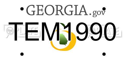 TEM1990 Georgia License Plate