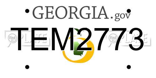 TEM2773 Georgia License Plate