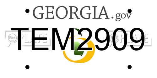 TEM2909 Georgia License Plate