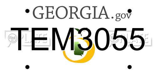 TEM3055 Georgia License Plate