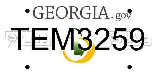TEM3259 Georgia License Plate
