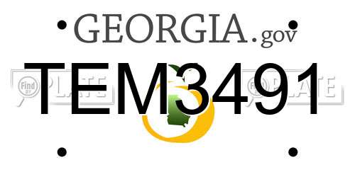 TEM3491 Georgia License Plate