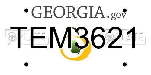 TEM3621 Georgia License Plate
