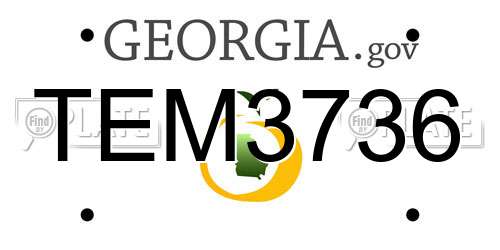 TEM3736 Georgia License Plate