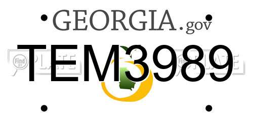 TEM3989 Georgia License Plate