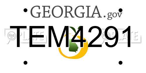 TEM4291 Georgia License Plate