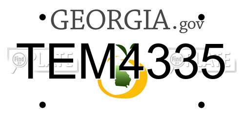 TEM4335 Georgia License Plate