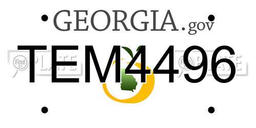 TEM4496 Georgia License Plate