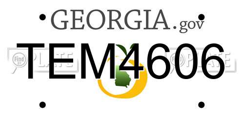 TEM4606 Georgia License Plate