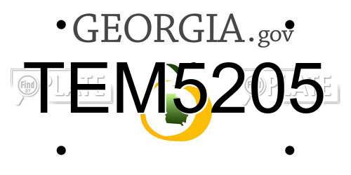 TEM5205 Georgia License Plate