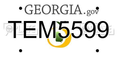 TEM5599 Georgia License Plate