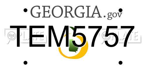 TEM5757 Georgia License Plate