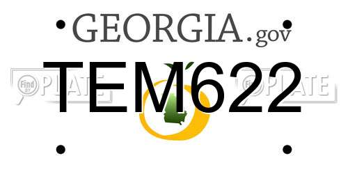 TEM622 Georgia License Plate