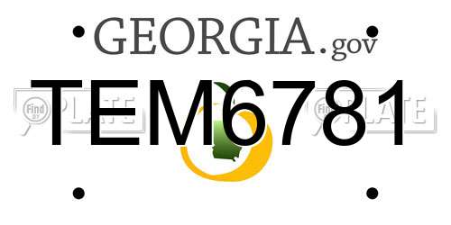 TEM6781 Georgia License Plate
