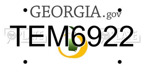 TEM6922 Georgia License Plate