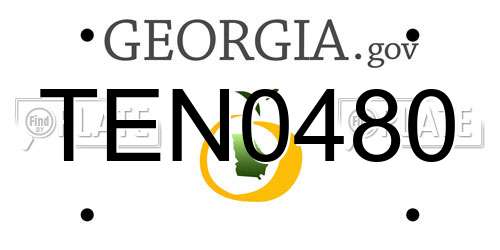 TEN0480 Georgia License Plate