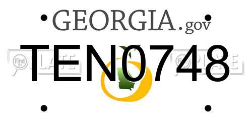 TEN0748 Georgia License Plate