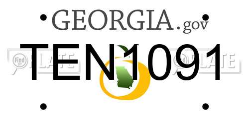 TEN1091 Georgia License Plate