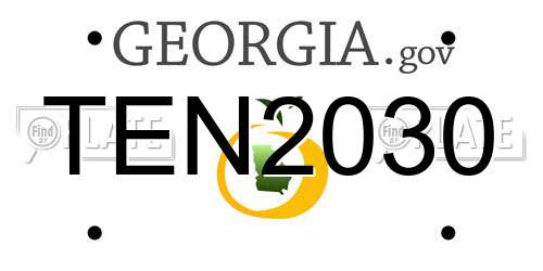 TEN2030 Georgia License Plate