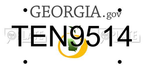 TEN9514 Georgia License Plate