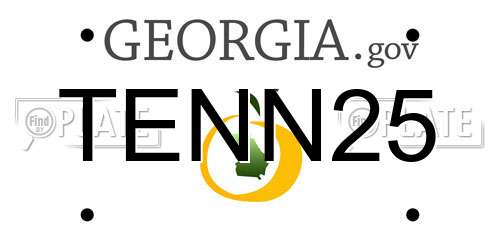 TENN25 Georgia License Plate
