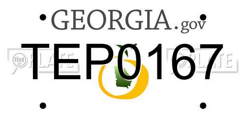 TEP0167 Georgia License Plate