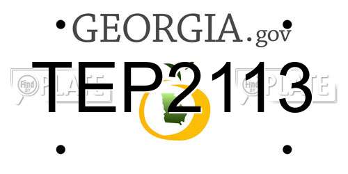 TEP2113 Georgia License Plate