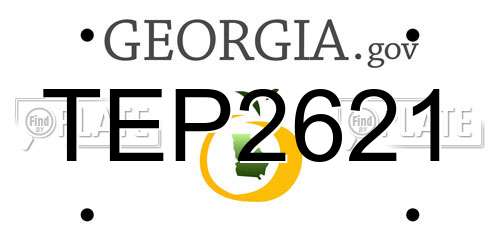 TEP2621 Georgia License Plate