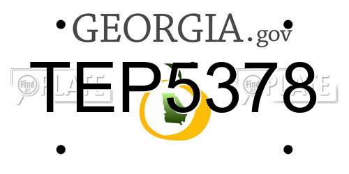TEP5378 Georgia License Plate