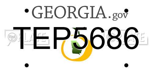 TEP5686 Georgia License Plate