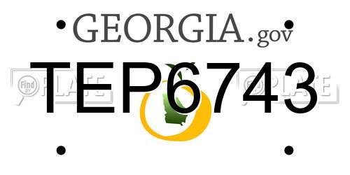 TEP6743 Georgia License Plate