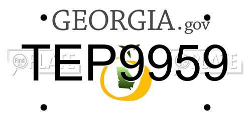 TEP9959 Georgia License Plate