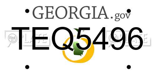 TEQ5496 Georgia License Plate