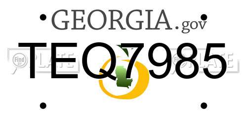 TEQ7985 Georgia License Plate