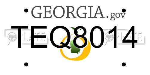 TEQ8014 Georgia License Plate
