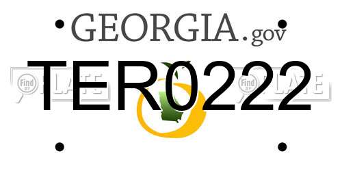 TER0222 Georgia License Plate