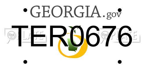TER0676 Georgia License Plate