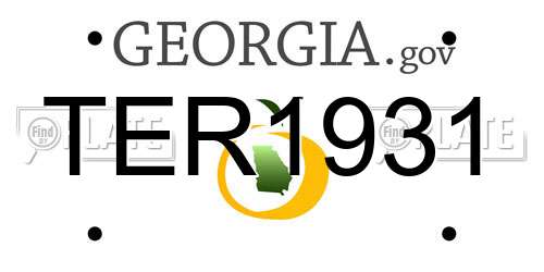 TER1931 Georgia License Plate
