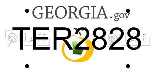 TER2828 Georgia License Plate