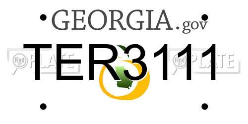 TER3111 Georgia License Plate