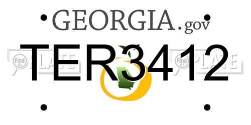 TER3412 Georgia License Plate
