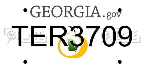 TER3709 Georgia License Plate