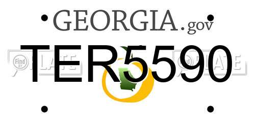 TER5590 Georgia License Plate