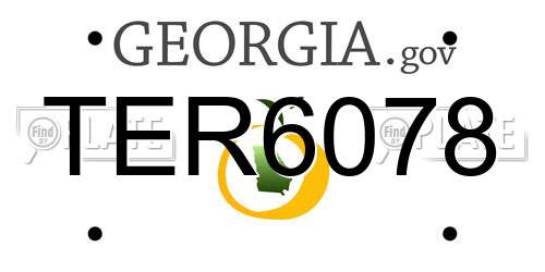 TER6078 Georgia License Plate