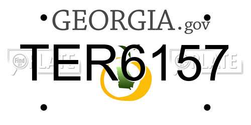 TER6157 Georgia License Plate