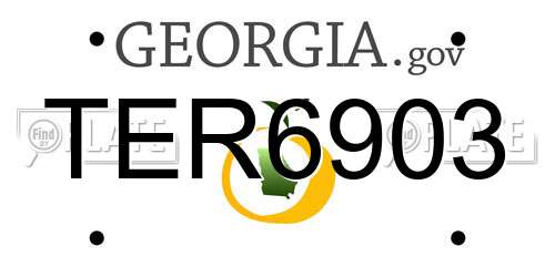 TER6903 Georgia License Plate